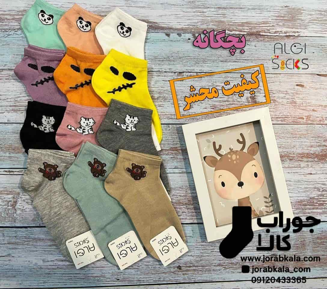 Photo_1756562061516 جوراب مچی بچگانه 12 رنگ